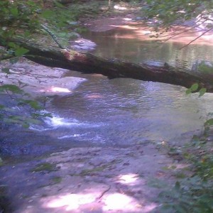 Shoe Creek 8-24