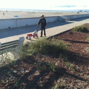 Test shot, funny dog