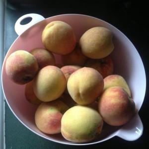 My peach tree is giving me some love...
