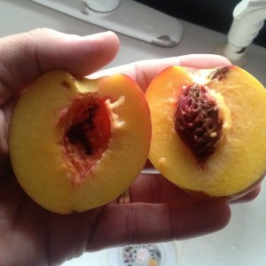 Peaches