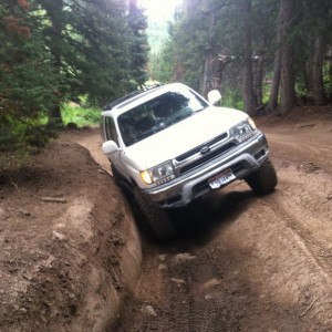 Forrest Lake trail