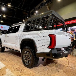 SEMA225