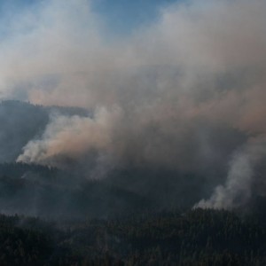 Rim Fire (Columbia, CA)