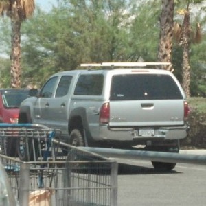 Spotted