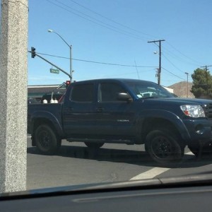 Spotted