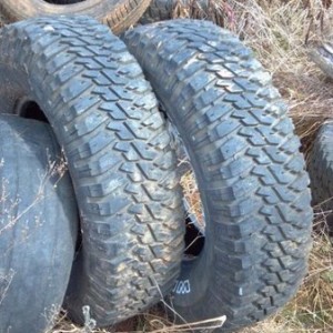 Was coverin a trench silo at work today. Looked in the tire pile and two br