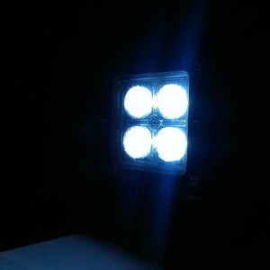 Hood Lights