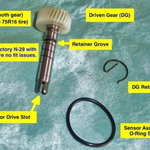 Driven Gear
