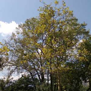 WP_20130902_014