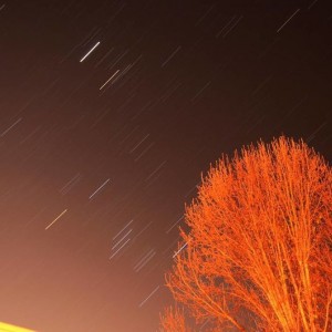 DSC_0916_copy