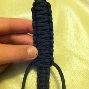 1st king cobra.