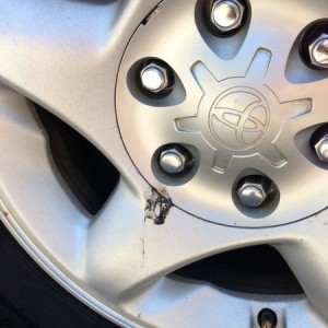 Bird poop...how does that even happen?