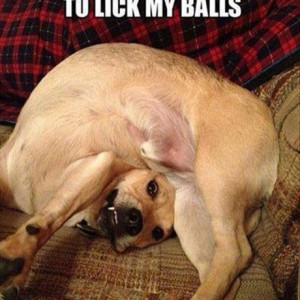 balls2