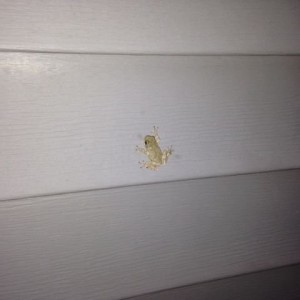 This guy is cheating, he is under the light.