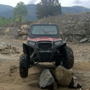 Got to play around in one of these. Things are a blast but still not worth 