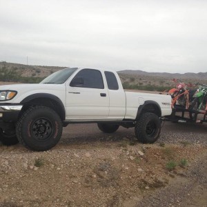 Flexin
