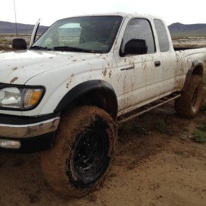 flexin