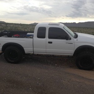 flexin