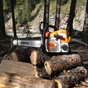 Stihl MS 170
