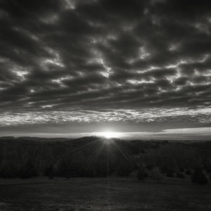 DSC2579