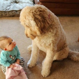 Kid & Pup
