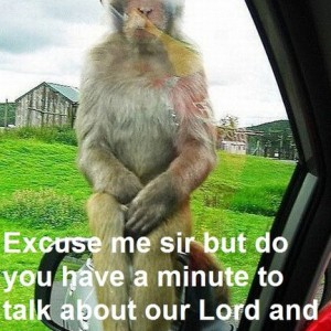 Funny-Pictures-Monkey-Mirrorkjgcopy