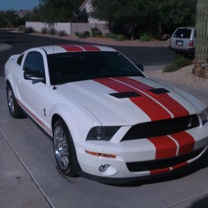 Shelby