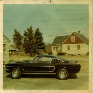 Mustang_65