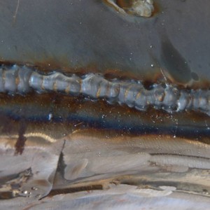 P1290195