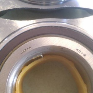 IMAG06225