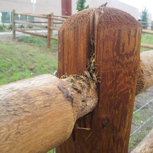 Nope. Nopenope.
