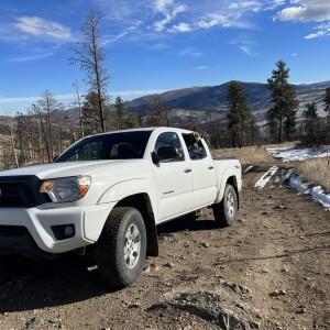 Stock