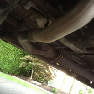 Hhhhmmm scarred already going to have to find a better spot for you.