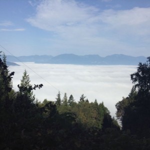 I'm high