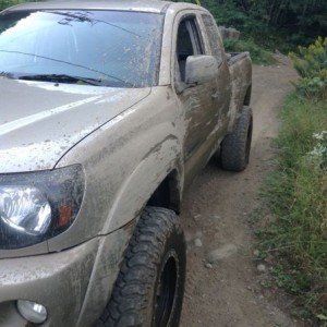 Muds and pinstripes