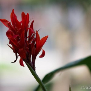 DSC_05551