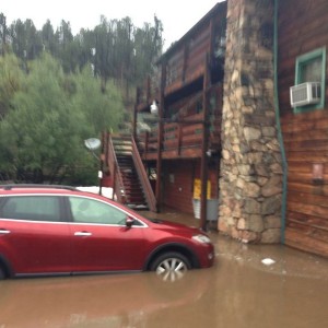 Evergreen is slightly flooded