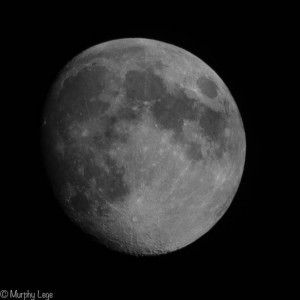 DSC_3622-2