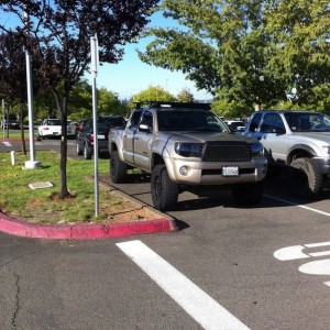 spotted1