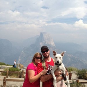 9 months old husky lab mix in yosimite 2 weeks ago during rim fire