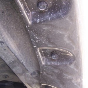 Bushwacker fender flares