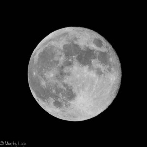 DSC_3756-2