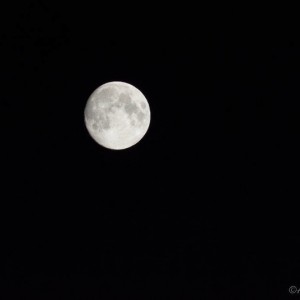 DSC_08771