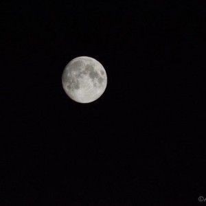 DSC_08751
