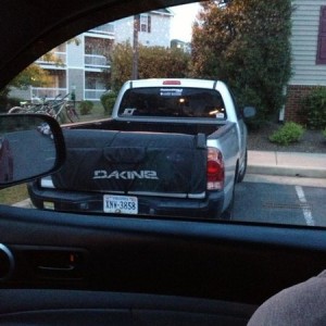 Spotted in Harrisonburg va. Who is it