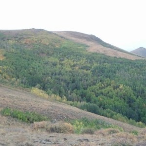 Trees are starting to change.