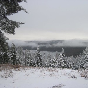 IMG_19744