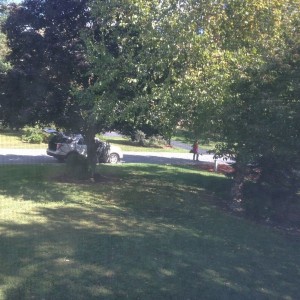 And another (nbc again). Looks like these guys are setting up to camp out, 