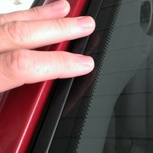 Windshield gasket