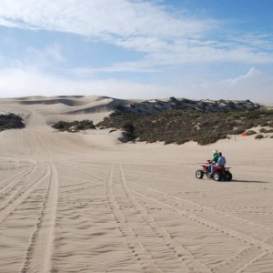 Pismo